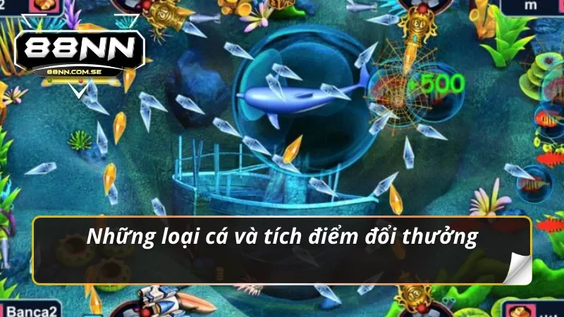 Bắn Cá H5 - Trò Chơi Săn Thưởng Cực Khủng Tại Nhà Cái 88NN 5 Bắn cá H5 đổi điểm thưởng siêu khủng